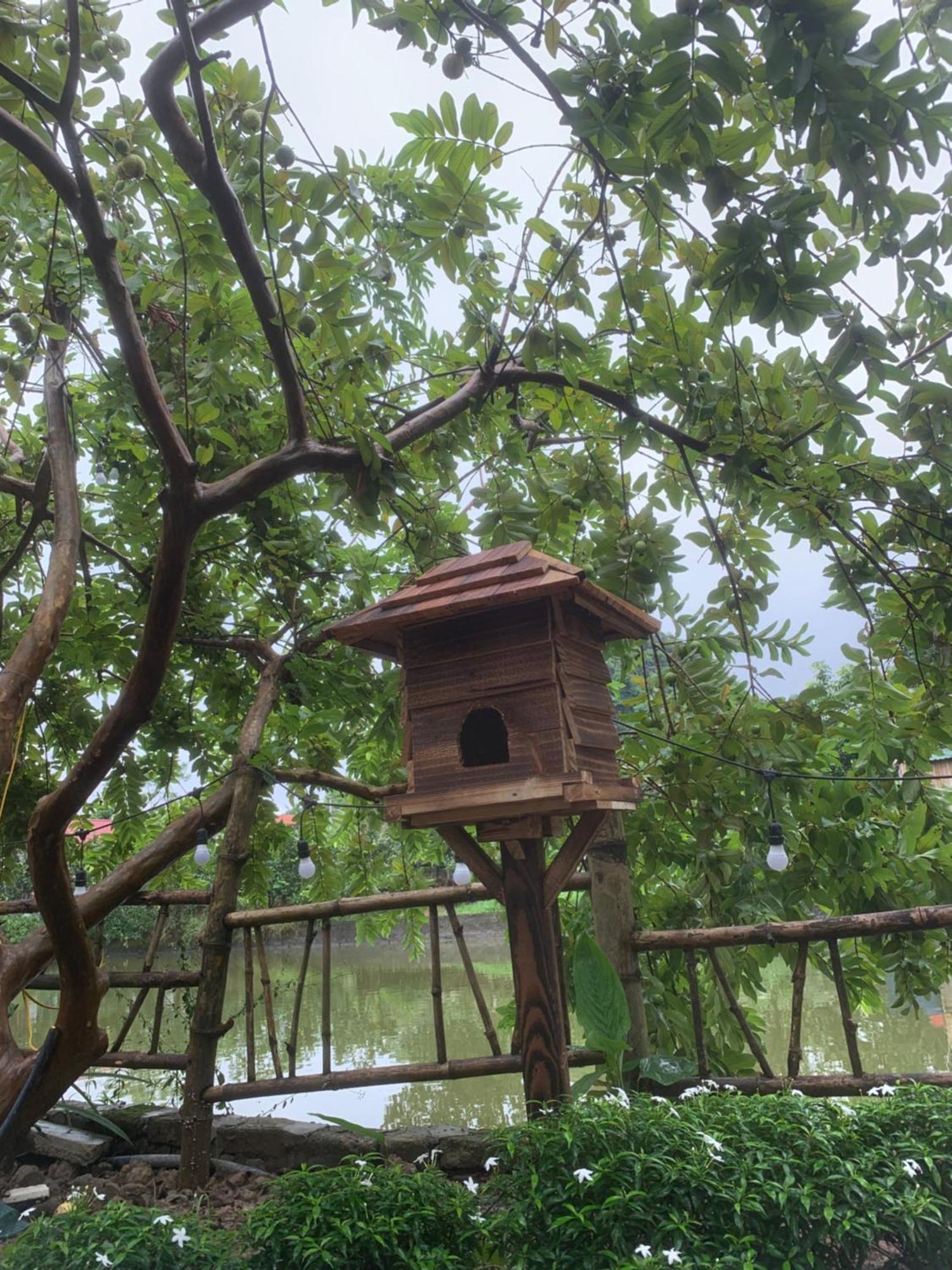 Peaceful Refuge Homestay Ninh Binh Esterno foto