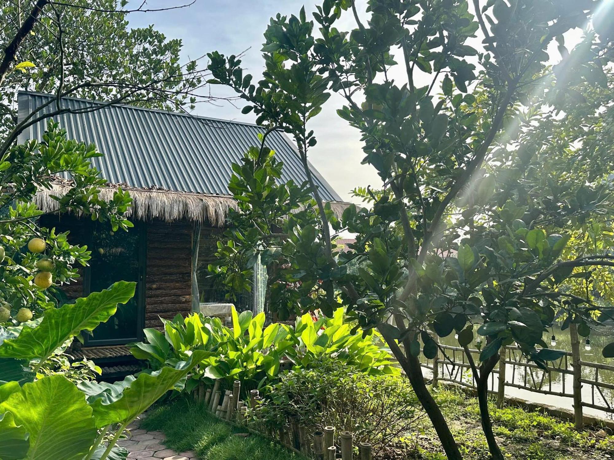 Peaceful Refuge Homestay Ninh Binh Esterno foto
